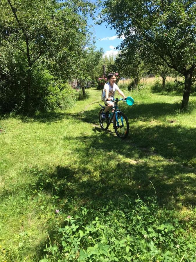 ホテル Casuta Sanatatii コバスナ エクステリア 写真